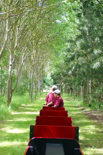 Barnards Miniature Railway - Photo: © Ian Boyle 29th May 2014 - www.simplonpc.co.uk