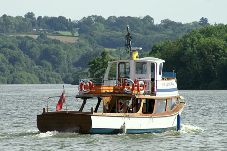 Swallow - Bewl Water - © Ian Boyle - www.simplonpc.co.uk