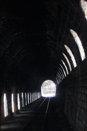 CP - Chemin de Fer de Provence - Photo: © Ian Boyle, 16th February 2010