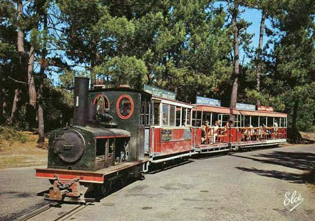 Petit Train du Cap Ferret - www.simplonpc.co.uk - Photo:  Ian Boyle, 13th March 2008