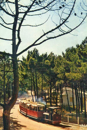 Petit train du Cap-Ferret - www.simplonpc.co.uk