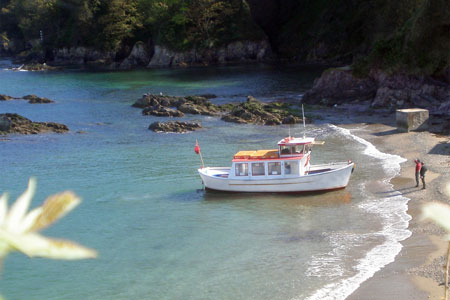 WESTON MAID - Cawsand Ferry, Plymouth - Photo: © Ben Squire 2010 - www.simplonpc.co.uk