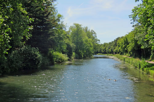 Chichester Canal 2015 - www.simplonpc.co.uk