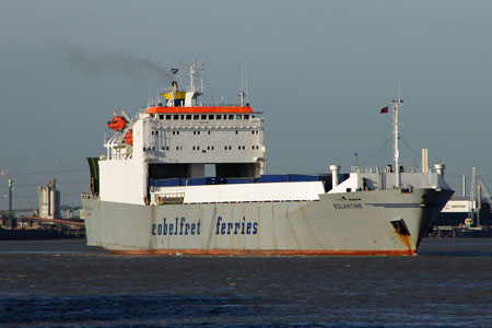 EGLANTINE - Cobelfret - Photo: © Ian Boyle, 20th December 2011 - www.simplonpc.co.uk