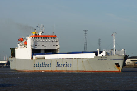 EGLANTINE - Cobelfret - Photo: © Ian Boyle, 20th December 2011 - www.simplonpc.co.uk