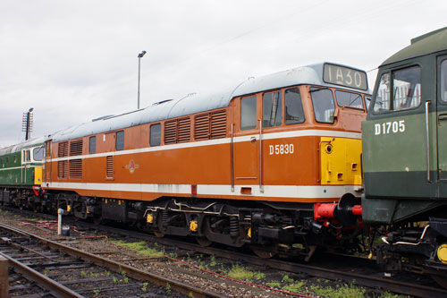 Class 31 - D5830 - Photo: ©2011 Ian Boyle - www.simplonpc.co.uk