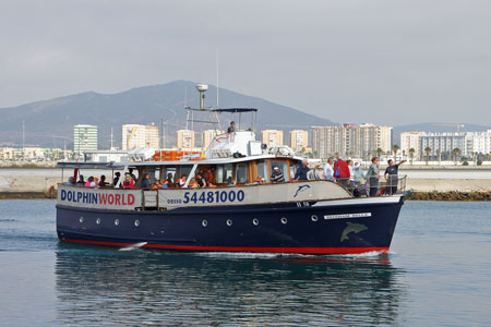 BRIXHAM BELLE - Photo: © Ian Boyle, 1st November 2011 - www.simplonpc.co.uk