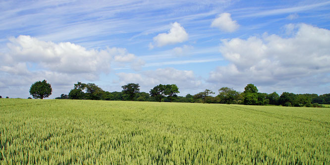 GREENSTED - Photo: ©2013 Ian Boyle - www.simplompc.co.uk - Simplon Postcards