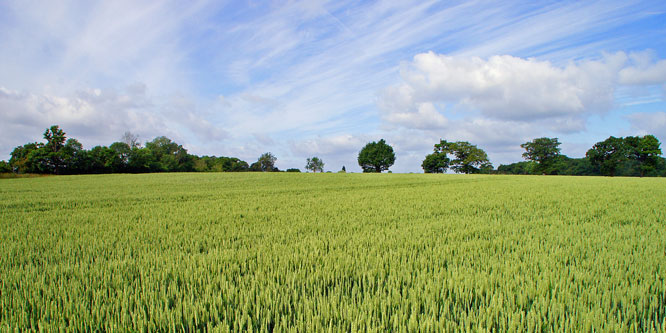 GREENSTED - Photo: ©2013 Ian Boyle - www.simplompc.co.uk - Simplon Postcards