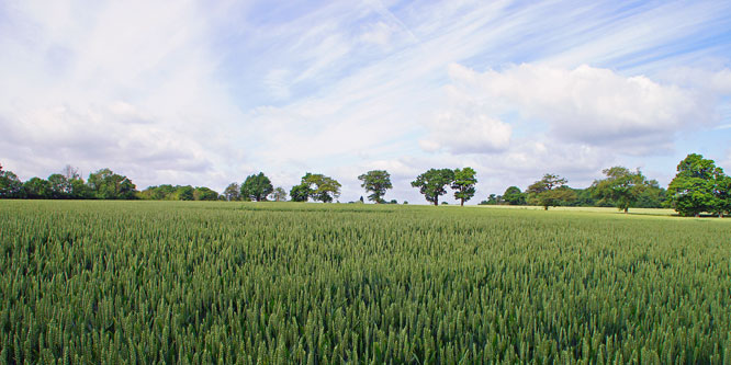 GREENSTED - Photo: ©2013 Ian Boyle - www.simplompc.co.uk - Simplon Postcards