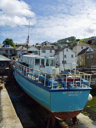 The Fairmile - © Greenway Ferry -www.greenwayferry.co.uk