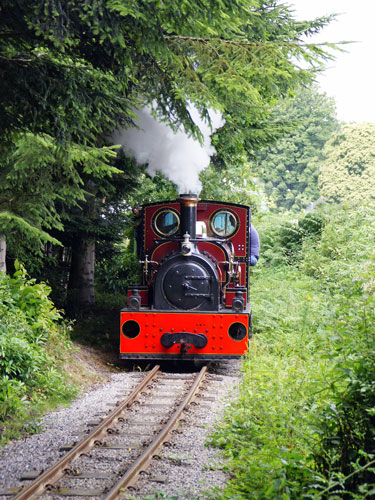 Hollycombe Steam Centre - Photo: ©2013 Ian Boyle - www.simplonpc.co.uk