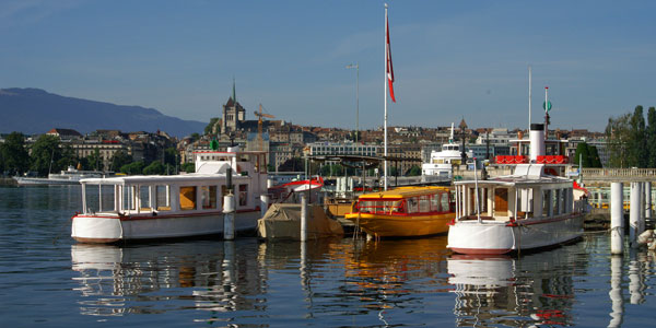 BECASSINE & SARCELLE - LNM - Lac de Neuchatel - www.simplonpc.co.uk