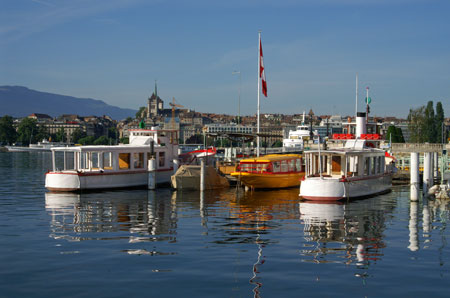 BECASSINE & SARCELLE - LNM - Lac de Neuchatel - www.simplonpc.co.uk