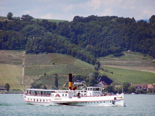 NEUCHATEL - LNM - Lac de Neuchatel - Photo: ©Mike Tedstone, 26th June 2014 -  www.simplonpc.co.uk