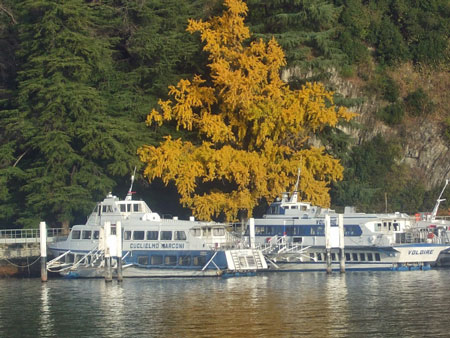 VOLOIRE & G.MARCONI - Lago di Como - www.simplonpc.co.uk