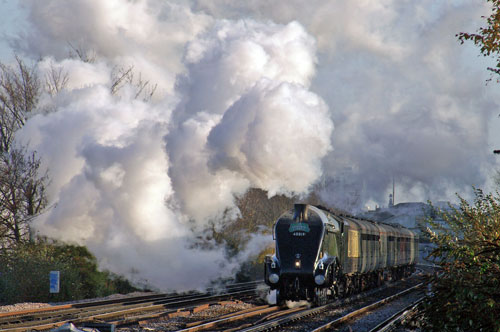 Bittern at Wandsworth Town - Photo: © Ian Boyle, 28th Novembe2009