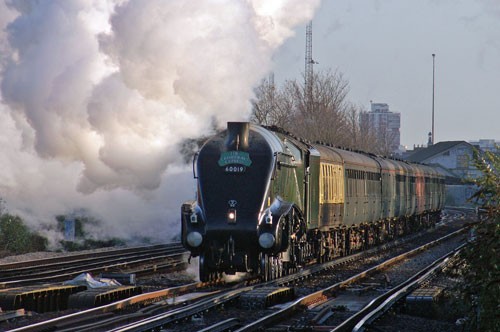 Bittern at Wandsworth Town - Photo: © Ian Boyle, 28th Novembe2009