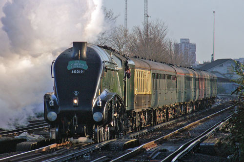 Bittern at Wandsworth Town - Photo: © Ian Boyle, 28th Novembe2009