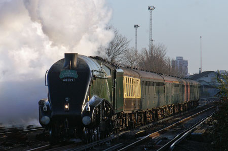 Bittern at Wandsworth Town - Photo: © Ian Boyle, 28th Novembe2009