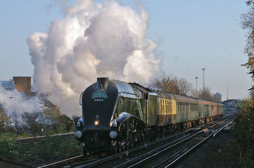 Bittern at Wandsworth Town - Photo: © Ian Boyle, 28th Novembe2009