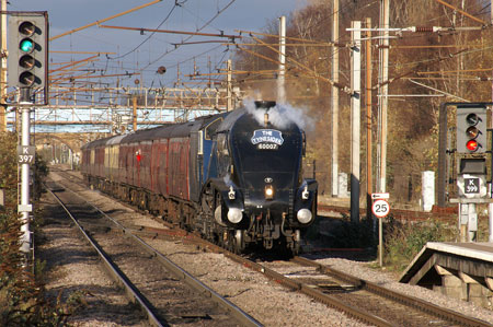 Bittern at Wandsworth Town - Photo: © Ian Boyle, 28th Novembe2009