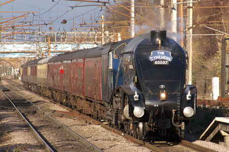 Bittern at Wandsworth Town - Photo: © Ian Boyle, 28th Novembe2009