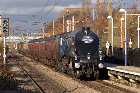 Bittern at Wandsworth Town - Photo: © Ian Boyle, 28th Novembe2009