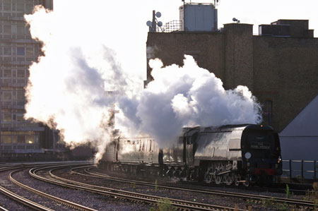 Bittern at Wandsworth Town - Photo: © Ian Boyle, 28th Novembe2009