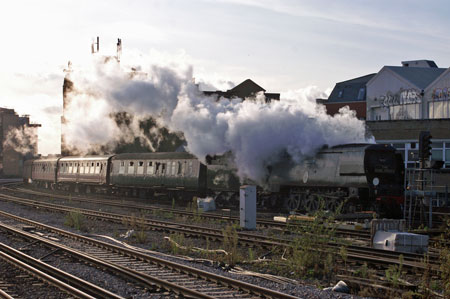 Bittern at Wandsworth Town - Photo: © Ian Boyle, 28th Novembe2009