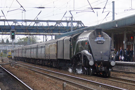 BITTERN - Photo: © Ian Boyle, 15th May 2010 - www.simplonpc.co.uk