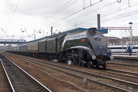 BITTERN - Photo: © Ian Boyle, 15th May 2010 - www.simplonpc.co.uk