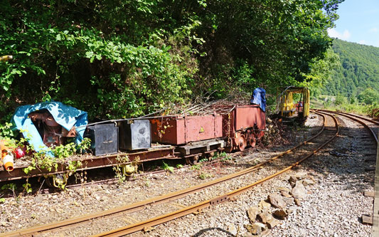 Morwellham Mine Railway - Photo: © Ian Boyle, 29th June 2015 - www.simplonpc.co.uk