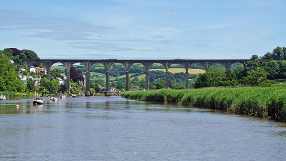 CALSTOCK - Plymouth Boat trips - Photo: © Ian Boyle, 29th June 2015 - www.simplonpc.co.uk