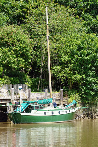 CALSTOCK - Plymouth Boat trips - Photo: © Ian Boyle, 29th June 2015 - www.simplonpc.co.uk