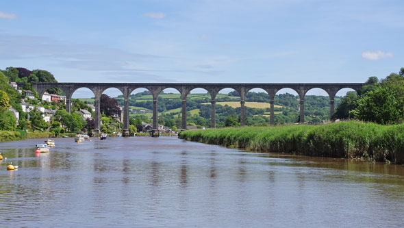 CALSTOCK - Plymouth Boat trips - Photo: © Ian Boyle, 29th June 2015 - www.simplonpc.co.uk