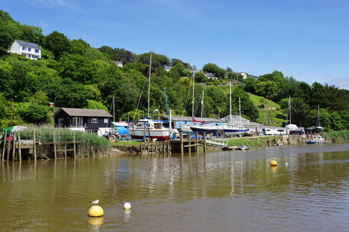 CALSTOCK - Plymouth Boat trips - Photo: © Ian Boyle, 29th June 2015 - www.simplonpc.co.uk