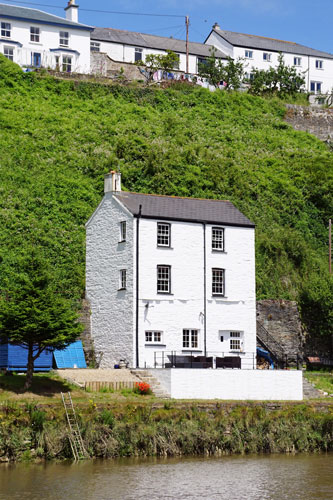 CALSTOCK - Plymouth Boat trips - Photo: © Ian Boyle, 29th June 2015 - www.simplonpc.co.uk