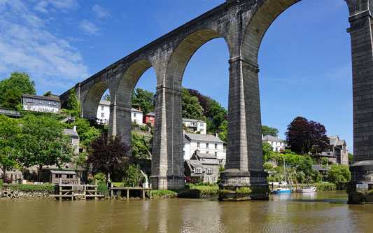 CALSTOCK - Plymouth Boat trips - Photo: © Ian Boyle, 29th June 2015 - www.simplonpc.co.uk