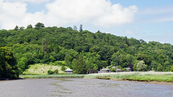 COTEHELE - Plymouth Boat trips - Photo: © Ian Boyle, 29th June 2015 - www.simplonpc.co.uk