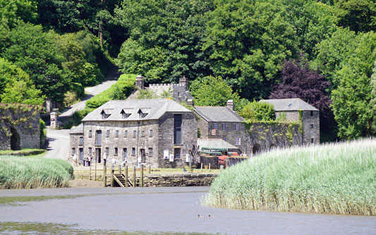 COTEHELE - Plymouth Boat trips - Photo: © Ian Boyle, 29th June 2015 - www.simplonpc.co.uk