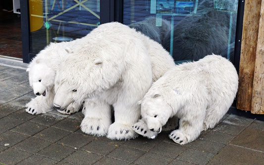 Ocean Princess Cruise - Akureyri - Photo: © Ian Boyle, 24th July 2015 - www.simplonpc.co.uk