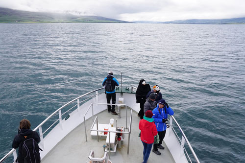 Ocean Princess Cruise - Akureyri - Photo: © Ian Boyle, 24th July 2015 - www.simplonpc.co.uk