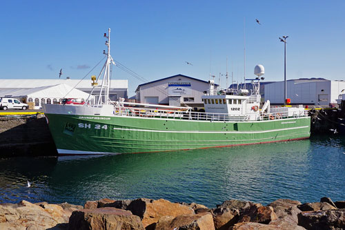 Ocean Princess Cruise - Grundarfjörður - Photo: © Ian Boyle, 25th July 2015 - www.simplonpc.co.uk