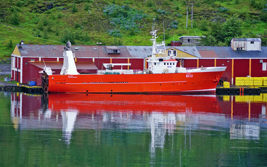 Ocean Princess Cruise - Seyðisfjörður - Photo: © Ian Boyle, 21st July 2015 - www.simplonpc.co.uk