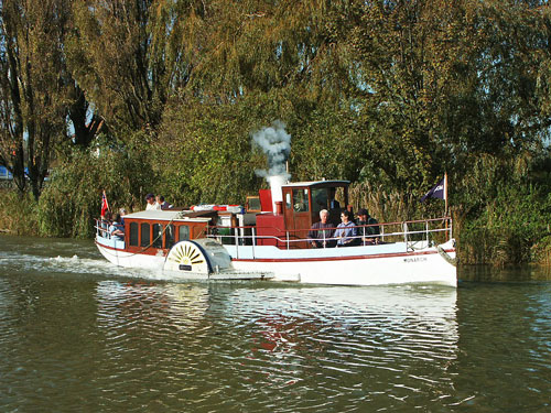 Monarch at Sandwich - Photo:  Ian Boyle, 30th October 2004 - www.simplonpc.co.uk