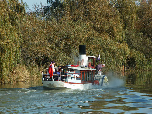 Monarch at Sandwich - Photo:  Ian Boyle, 30th October 2004 - www.simplonpc.co.uk