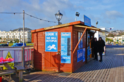 Paignton Pier - Photo: �Ian Boyle 28th February 2015