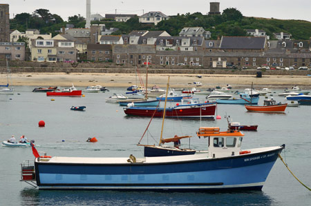 Kingfisher of St Mary's - Photo: © Ian Boyle,22nd July 2008