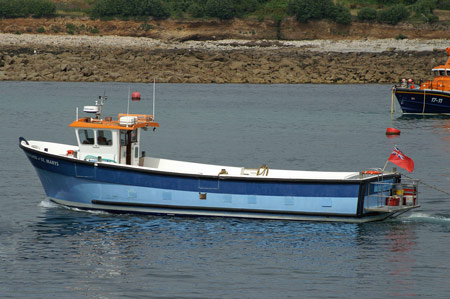 Kingfisher of St Mary's - Photo: © Ian Boyle,22nd July 2008